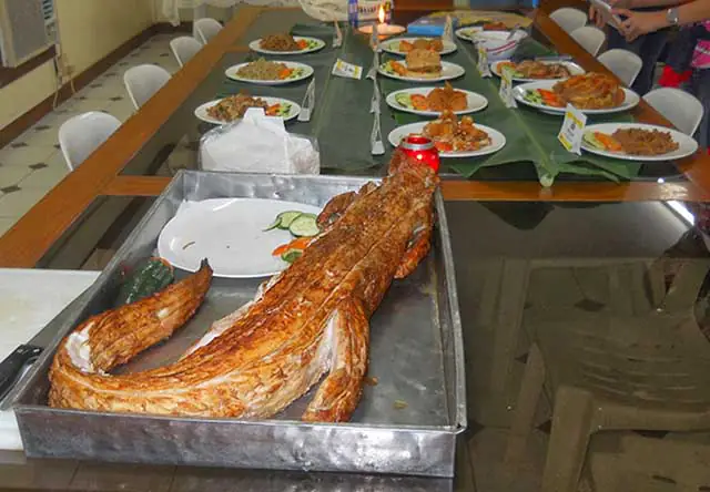 Hãy cùng tham khảo các dưỡng chất từ thịt cá sấu và các cách làm món ăn cho gia đình mình. Các chị em sẽ tìm ra được BÍ QUYẾT giúp "thịt cá sấu làm món gì ngon" để tạo được bất ngờ.