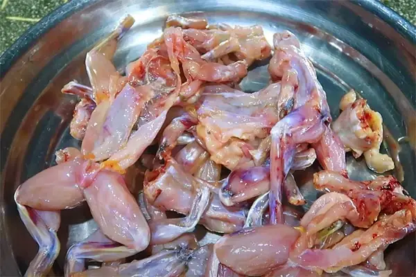 Bước 1: Sơ chế nguyên liệu làm ếch xào lăn sả ớt