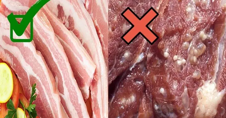 3. Bí Quyết Chọn Nguyên Liệu Tươi Ngon 3. Bí Quyết Chọn Nguyên Liệu Tươi Ngon