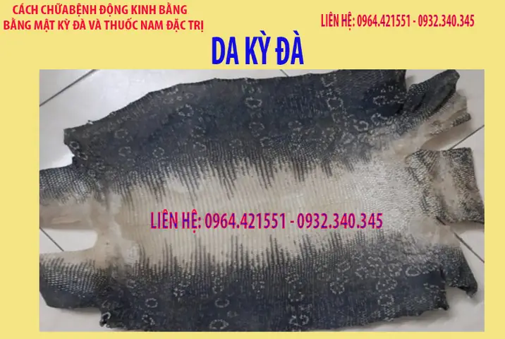 Äuã´i Ká»³ Äãâ¶