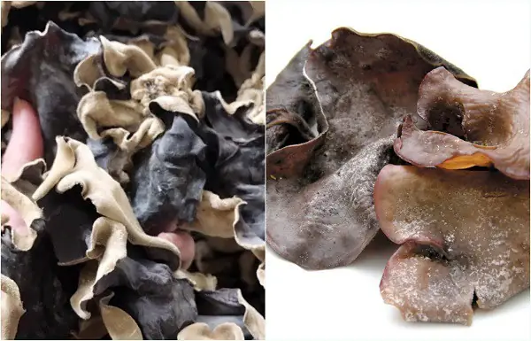 - Đối Với Mộc Nhĩ: