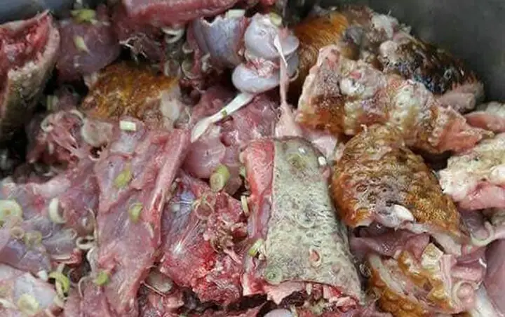 Cách nấu thịt nhím giả cầy ngon đậm đà không bị hôi