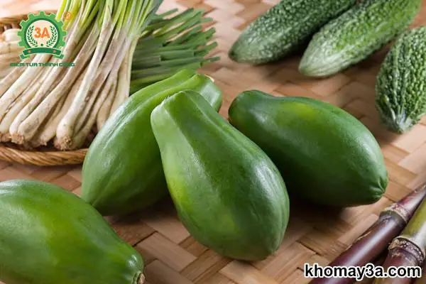 Cách Nấu Thịt Trâu Hầm Đu Đủ Ngon