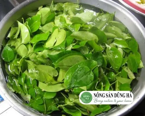 Mẹo Chọn Lá Lồm Tươi Ngon