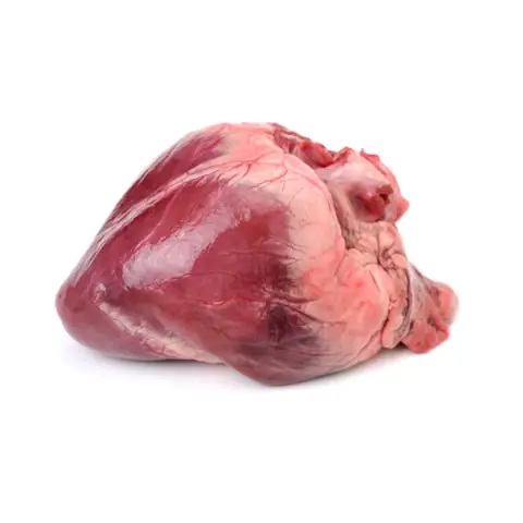 1.6. Lựa chọn địa điểm mua