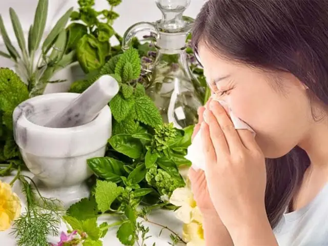 Tác Dụng Của Chưng Cất Tinh Dầu Hoa Ngũ Sắc