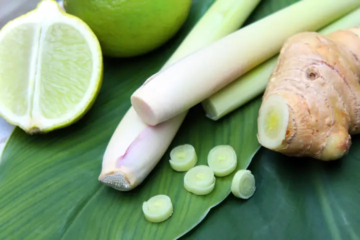 3cách Làm Tinh Dầu Sả Và Chanh Gừng