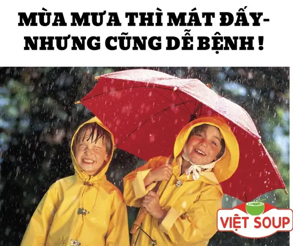 CHÁO DINH DƯỠNG VIỆT SOUP - THƯƠNG HIỆU CHÁO UY TÍN TẠI TPHCM