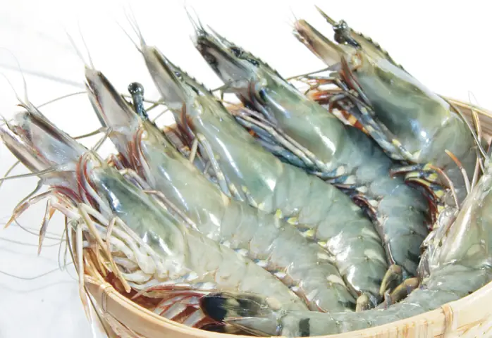 CHÁO DINH DƯỠNG CHO BÉ BIẾNG ĂN: CHÁO THỊT HEO HẠT SEN