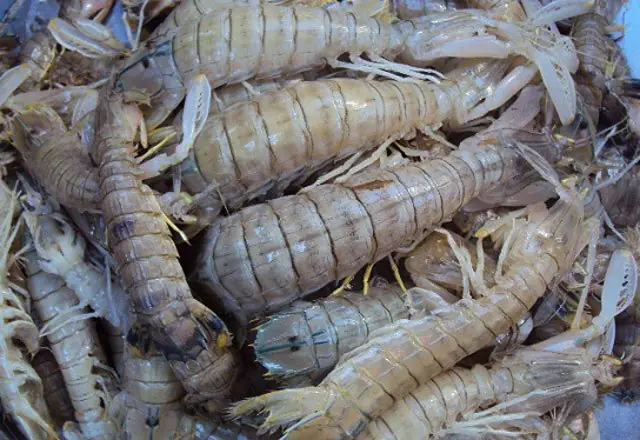 Cách Nấu Tôm Tít Rang Me, Nấu Món Tôm Tít Rang Me, Nấu Món Tôm Tít Rang Me Đơn Giản Nhất , Hướng Dẫn Nấu Tôm Tít Rang Me, Món Ăn Ngon, Hướng Dẫn Nấu Ăn