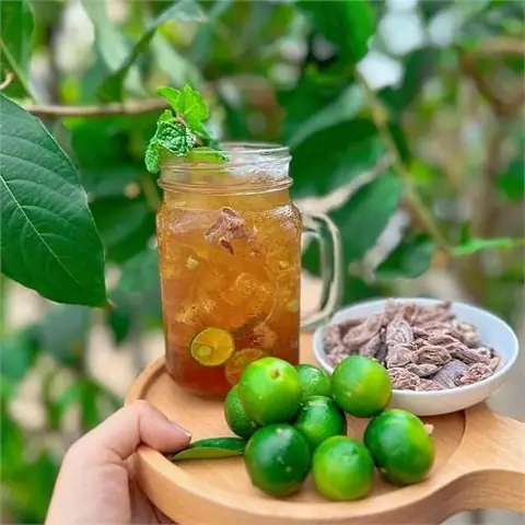 Trà Tắc Xí Muội: