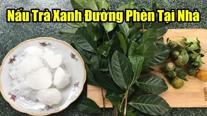 Hướng Dẫn Cách Nấu Trà Xanh Đường Phèn Tại Nhà Đơn Giản Hướng Dẫn Cách Nấu Trà Xanh Đường Phèn Tại Nhà Đơn Giản