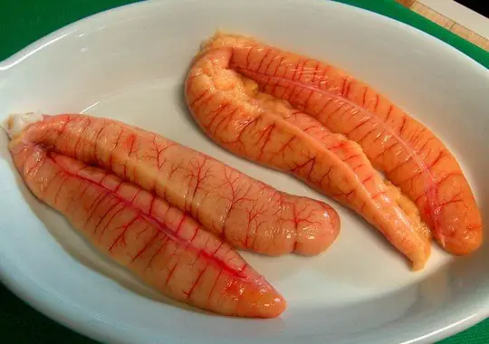 Vì Sao Trứng Cá Ngừ Đại Dương Ngày Càng Được Ưa Chuộng?