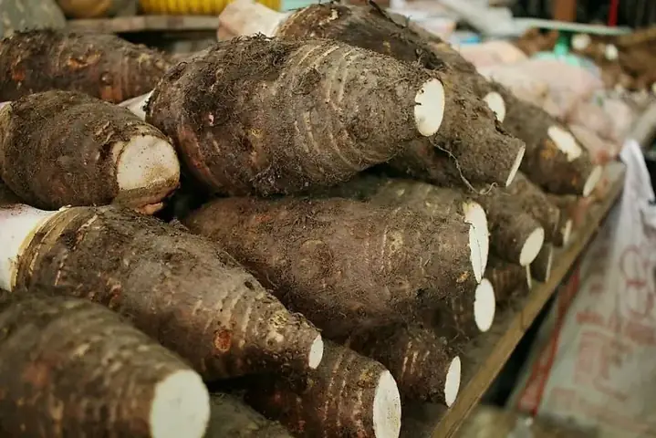 Hướng Dẫn Chọn Mua Khoai Môn Ngon