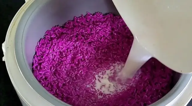 Bí Quyết Nấu Xôi Bằng Nồi Cơm Điện Ngon, Dẻo Như Ngoài Hàng Không Phải Ai Cũng Biết Bí Quyết Nấu Xôi Bằng Nồi Cơm Điện Ngon, Dẻo Như Ngoài Hàng Không Phải Ai Cũng Biết