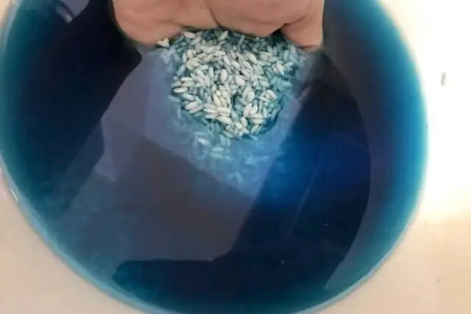 Video Äang Hot Video Äang Hot