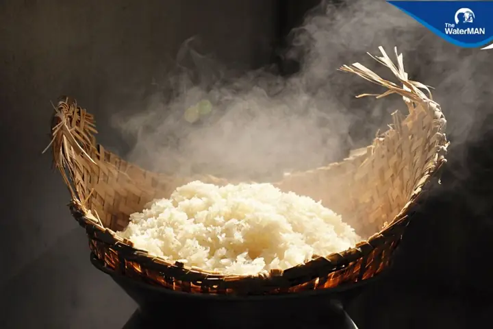 3 bước thực hiện xôi hạt sen đơn giản tại nhà 3 bước thực hiện xôi hạt sen đơn giản tại nhà