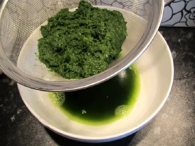 Cách Nấu Xôi Lá Dứa Ngon Có Màu Xanh Đẹp Với Nước Cốt Dừa Bằng Nồi Cơm Điện Ngon Mê Ly