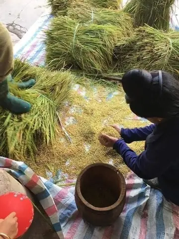 Cách Nấu Xôi Khẩu Hang