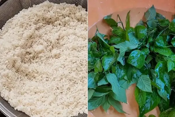 Sơ Chế Nguyên Liệu