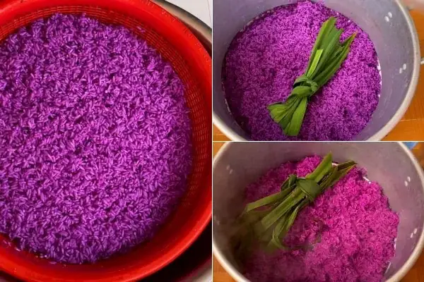 Nấu Xôi Lá Cẩm Nước Cốt Dừa