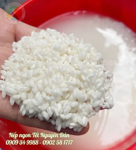 Ngâm nếp