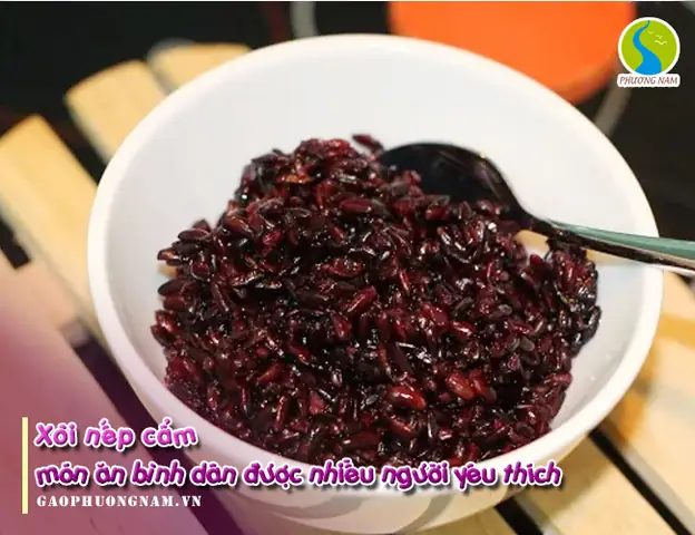 Xôi Nếp Cẩm Là Gì? Xôi Nếp Cẩm Là Gì?