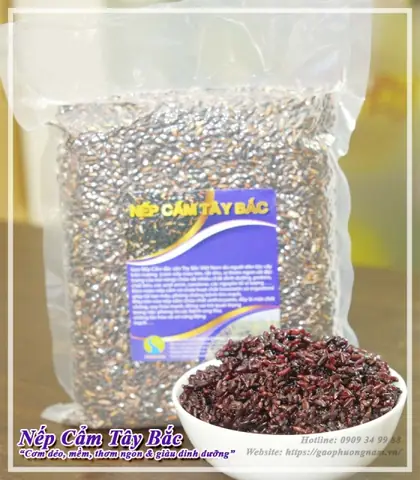 Làm Đẹp Và Phục Hồi Da Làm Đẹp Và Phục Hồi Da