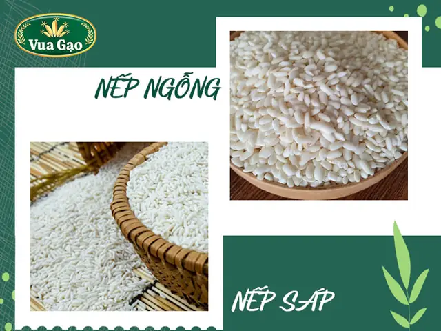 2. Nếp sáp và nếp ngỗng có giống nhau không? 2. Nếp sáp và nếp ngỗng có giống nhau không?