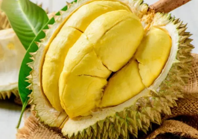 Sơ chế sầu riêng