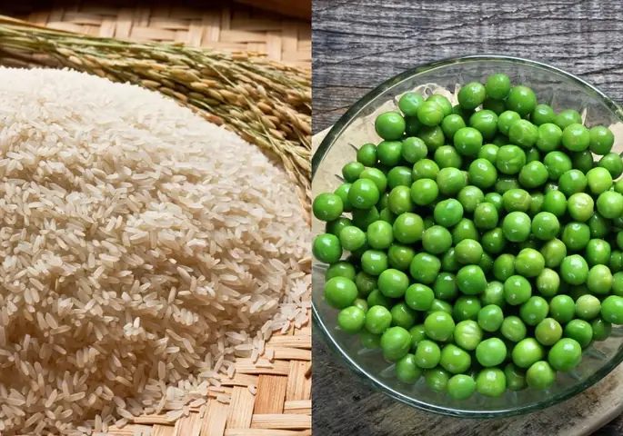 Nguyên Liệu Và Dụng Cụ Cần Thiết Nguyên Liệu Và Dụng Cụ Cần Thiết