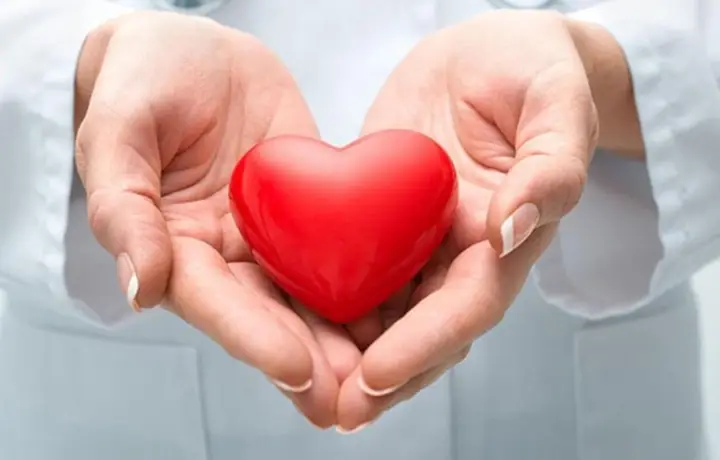 1.1 Hỗ trợ sức khỏe tim mạch 1.1 Hỗ trợ sức khỏe tim mạch