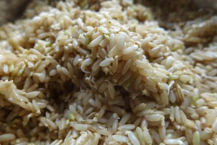 CÁCH NẤU GẠO LỨT: Nên ngâm và nấu gạo lứt thế nào cho tốt? (Zen lifestyle #1) CÁCH NẤU GẠO LỨT: Nên ngâm và nấu gạo lứt thế nào cho tốt? (Zen lifestyle #1)