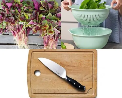 Cách nhặt rau dền bằng dao đơn giản từ A đến Z