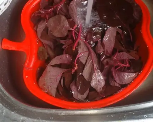 Cách nhặt rau dền bằng dao đơn giản từ A đến Z