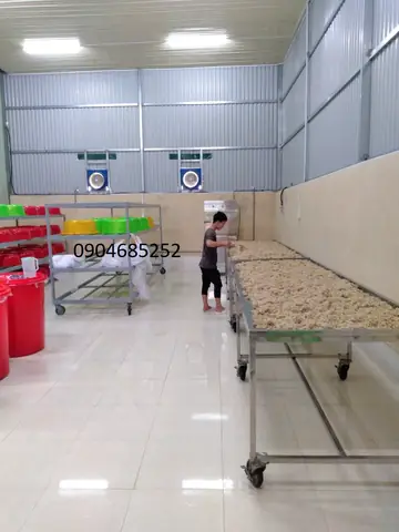 3 yếu tố cần chú ý khi ủ men rượu