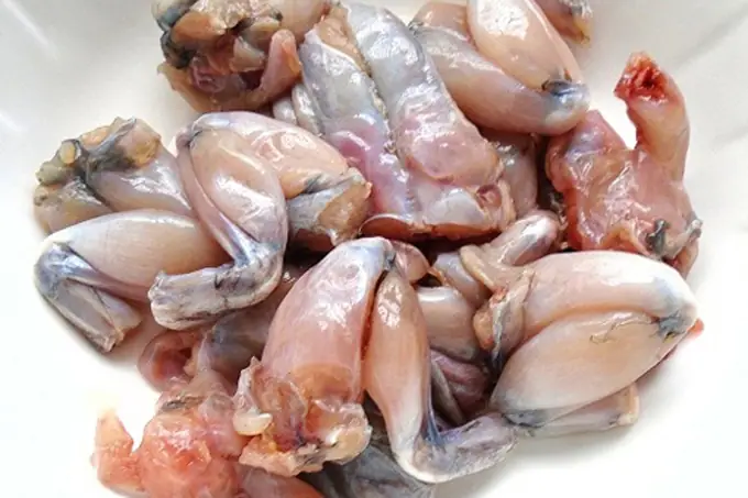 Bước 2: Sơ Chế Ếch – Đây Là Bước Quan Trọng Nhất