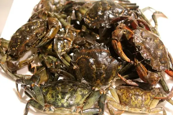 Bæ°á»c 1: Ninh Xæ°æ¡ng