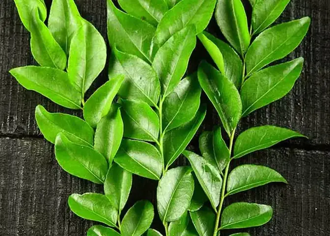 Lá Cách Nấu Món Gì Ngon