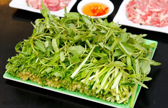 Thông Tin Chi Tiết