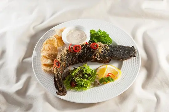 Cá Trê Chiên Giòn