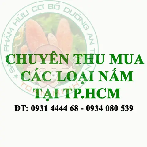 Một Số Món Ăn Ngon Từ Nấm Rơm Dễ Làm
