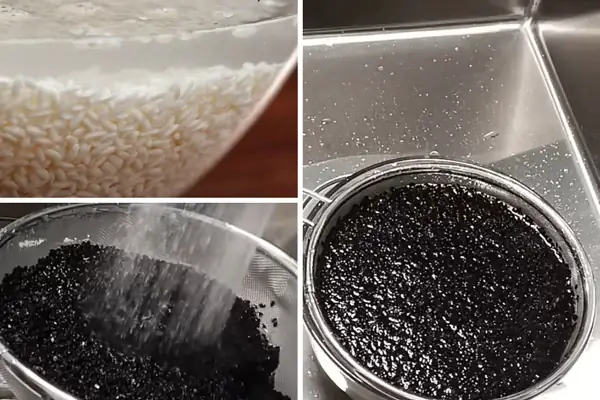 Sơ Chế Nguyên Liệu Sơ Chế Nguyên Liệu