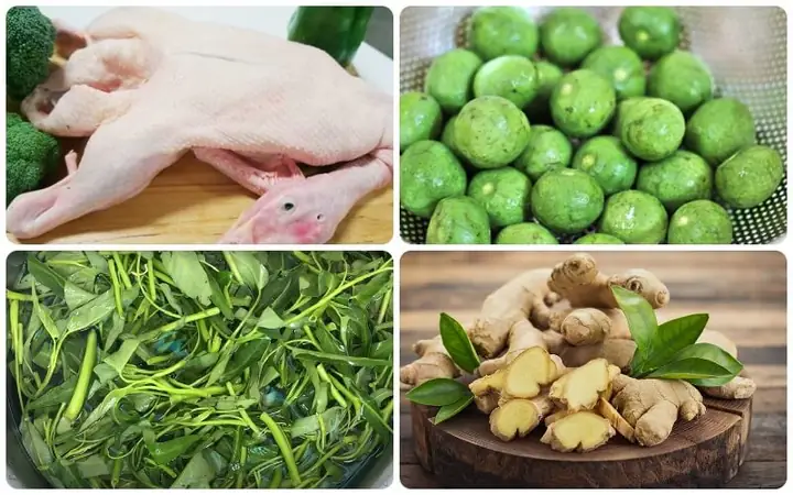 Nguyên Liệu Làm Vịt Om Sấu Rau Rút Nguyên Liệu Làm Vịt Om Sấu Rau Rút